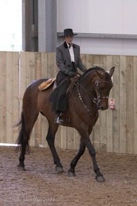 Lusitano Breed Society of Great Britain Show - Hartpury College - 27th June 2009